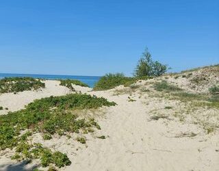 Dlaczego nasz układ nerwowy tak bardzo potrzebuje regularnych przerw? – Sabina Sadecka