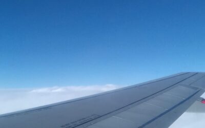 Samoregulacja podczas lotu – Klaudia Angela Grabska