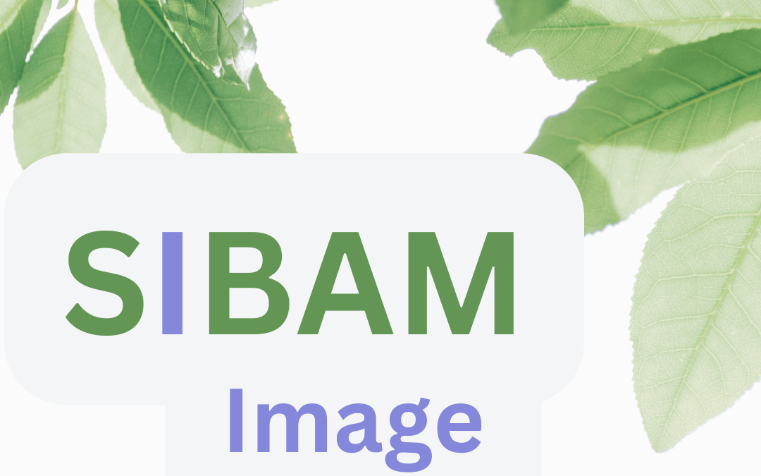 SIBAM Image – Katarzyna Małysz
