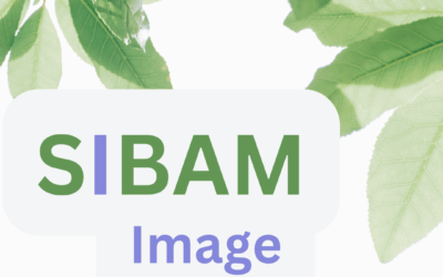 SIBAM Image – Katarzyna Małysz