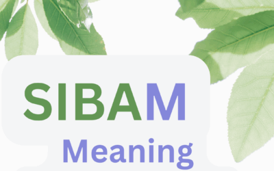 SIBAM Meaning – Katarzyna Małysz