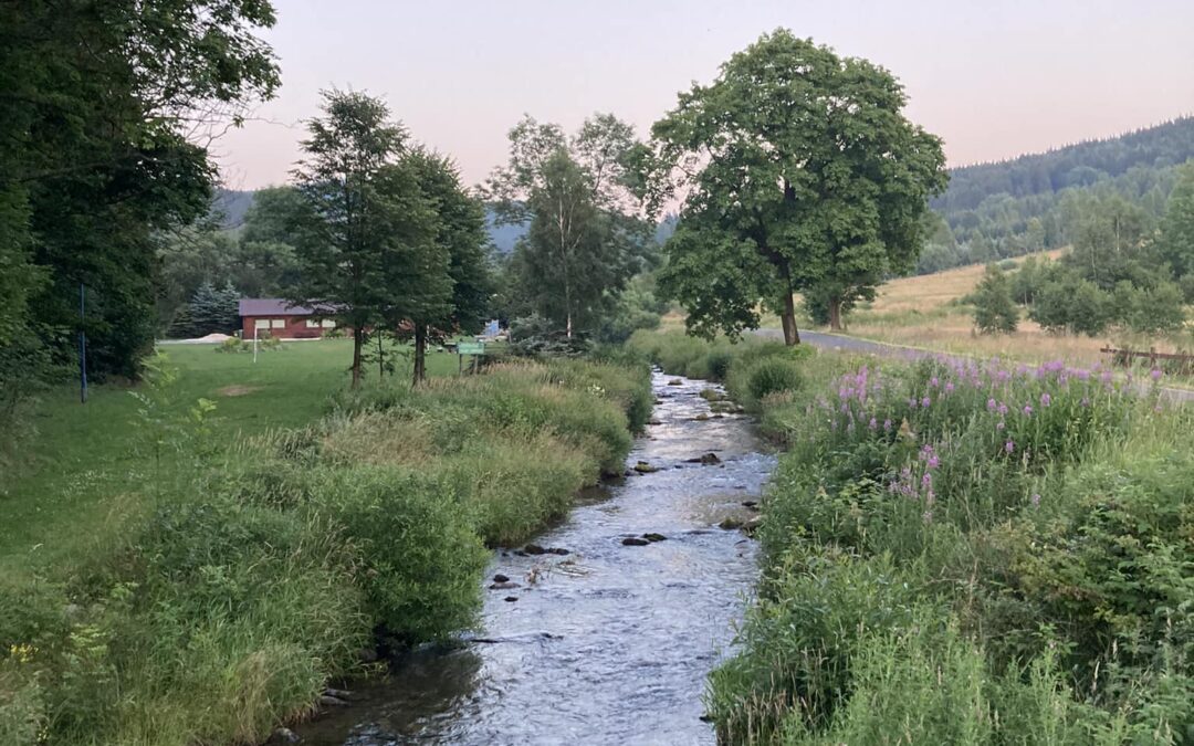 Natura kryzysu – Beata Muszyńska-Dębska