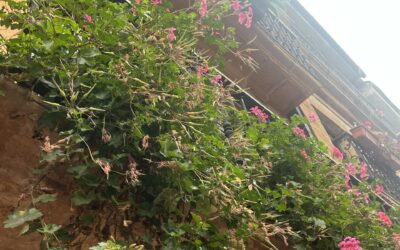 Stres na urlopie czyli jak pozwolić układowi nerwowemu łagodnie wejść w czas wolny. – Sabina Sadecka